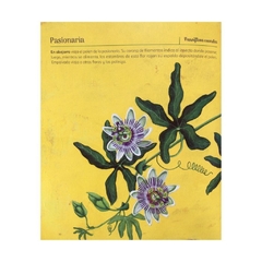 Nativas : flores argentinas - comprar online
