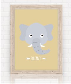 lamina elefante