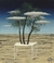 Rene Magritte - tienda online