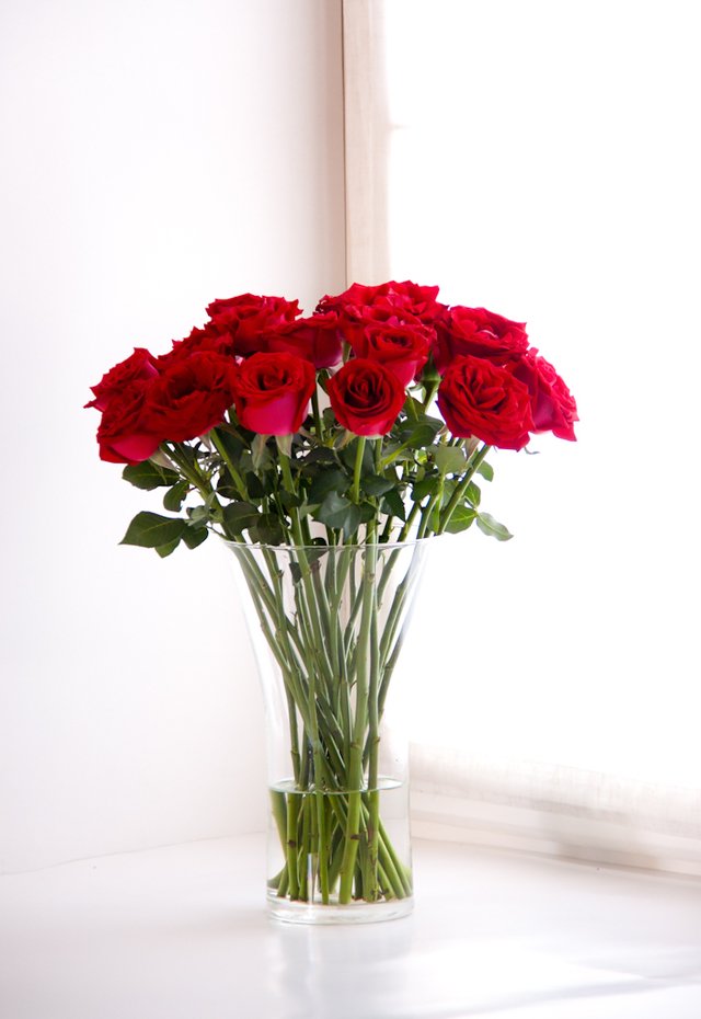 RO20 - Florero con 2 docenas de rosas importadas - comprar online