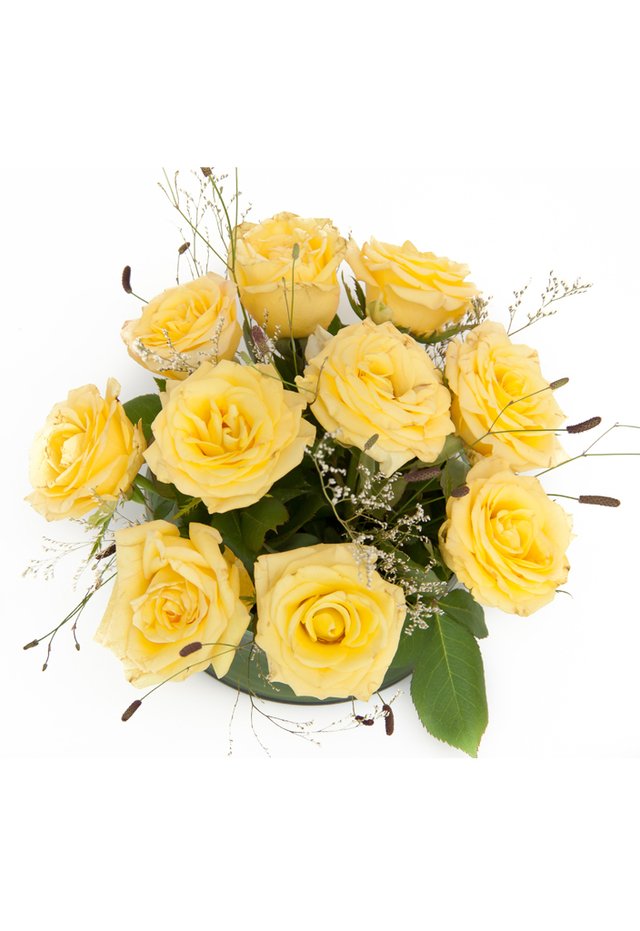 c14 - rosas amarillas - comprar online