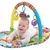 Gimnasio Para Bebes Play In The Park Activity Gym0m+ Playgro