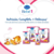 Sancor Bebe 1 Advanced 200ml Pack x 12 Unidades en internet