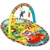 Imagen de Gimnasio Para Bebes Play In The Park Activity Gym0m+ Playgro