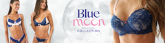 Banner de la categoría Blue Moon
