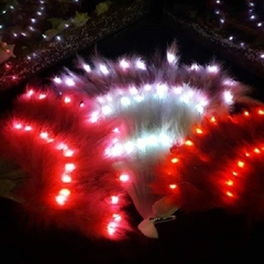 Abanicos de Plumas y LED Souvenir Fiesta en internet