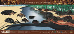 Quelônios da Amazônia- Cartaz