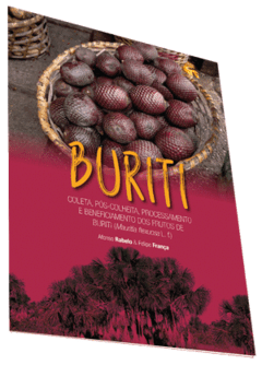 Buriti: coleta, pós-colheita, processamento e beneficiamento dos frutos de buriti.