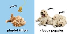 Baby Touch and Feel: Puppies and Kittens - comprar online