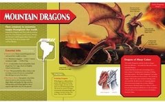 Klutz Paper Flying Dragons Craft Kit en internet