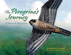 The Peregrine's Journey: A Story of Migration - Binding: Paperback