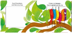 Chameleon's Colors Board book - comprar online