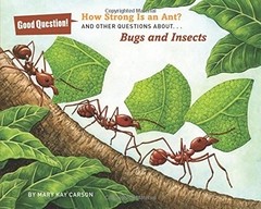 How Strong Is an Ant?: And Other Questions About... Bugs and Insects