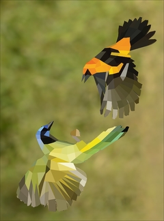 Paint by Sticker: Birds: Create 12 Stunning Images One Sticker at a Time! Paperback en internet