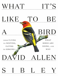 What It's Like to Be a Bird: From Flying to Nesting, Eating to Singing--What Birds Are Doing, and Why ( Sibley Guides ) Contributor(s): Sibley, David Allen (Author) Binding: Hardcover