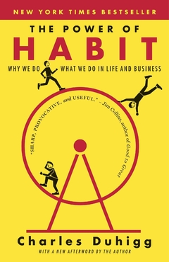 The Power of Habit: Why We Do What We Do in Life and Business Paperback