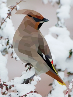 Paint by Sticker: Birds: Create 12 Stunning Images One Sticker at a Time! Paperback
