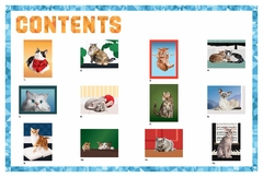 Paint by Sticker: Cats: Create 12 Stunning Images One Sticker at a Time! Paperback - comprar online