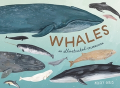 Whales: An Illustrated Celebration Contributor(s): Oseid, Kelsey (Author)