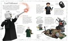 LEGO® Harry Potter Magical Treasury: A Visual Guide to the Wizarding World - tienda online