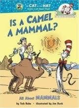 Is a Camel a Mammal?