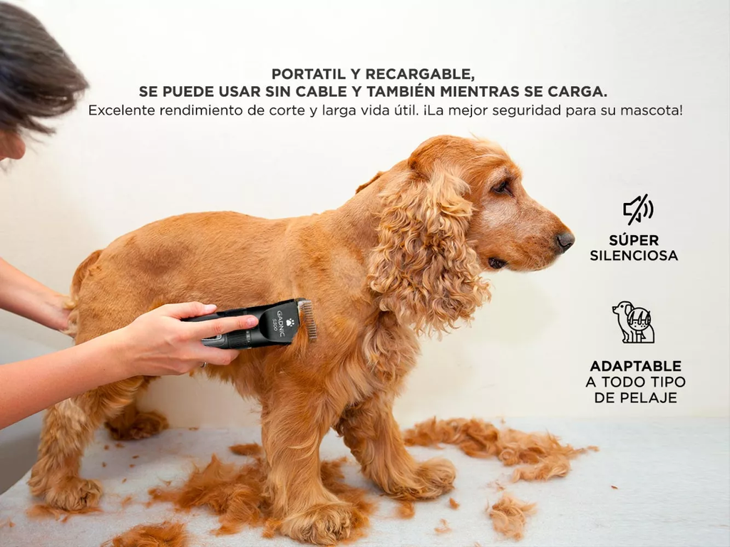 Cómo elegir la máquina de cortar el pelo del perro correcta