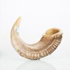 Shofar de carnero de 45  a 50 cm 