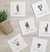 Potted Plant - Tarjetas Serie Box - comprar online