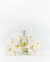 Perfume con aceites esenciales (2x1) - Ecoderm