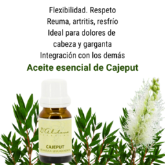 Cajeput (Melaleuca leucadendron) en internet