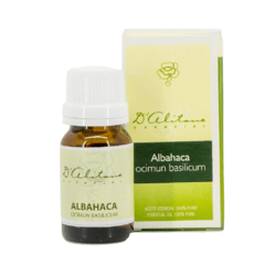 Albahaca (Ocimum basilicum) - comprar online