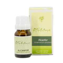 Alcanfor (Cinnamomum camphora) - comprar online