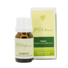 Cajeput (Melaleuca leucadendron) - comprar online