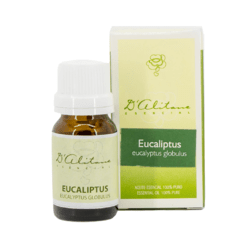 Eucaliptus (Eucaliptus Globulus) - comprar online