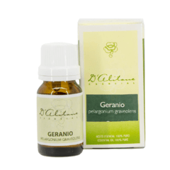 Geranio (Pelargonium Graveolens) - comprar online