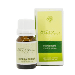 Hierba Buena (Mentha Spicata) - comprar online