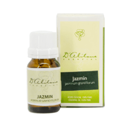 Jazmín (Jasminum Grandiflorum) - comprar online