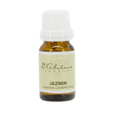 Jazmín (Jasminum Grandiflorum)