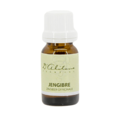 Jengibre (Zingiber Officinale)