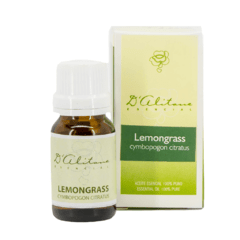 Lemongrass (Cymbopogon Citratus) - comprar online