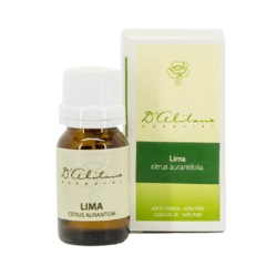 Lima (Citrus Aurantifolia) - comprar online