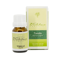Tomillo (Thymus Vulgaris) - comprar online