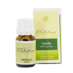 Vainilla (Vanilla Planiflora) - comprar online