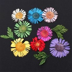 Deco Flores secas tipo 1 en pote x 1 unid en internet