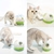 Juego Interactivo P Gatos Petgeek - comprar online