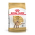Royal Canin Caniche/Poodle Adulto