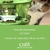 Comedero Lento En Altura Cat It Food Tree - tienda online