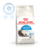 Royal Canin Indoor longhair x 1.5 kg