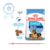 Royal Canin maxi starter x 10 kg