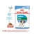 Royal Canin Mini Puppy - comprar online